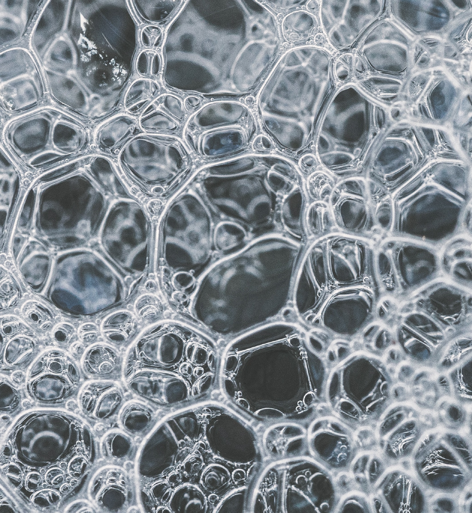 Espuma - Productos de textura espuma